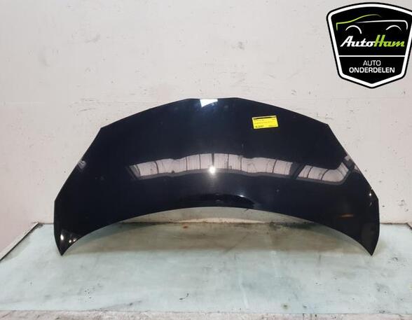 Motorhaube Toyota Aygo B1 533010H010 P21698853