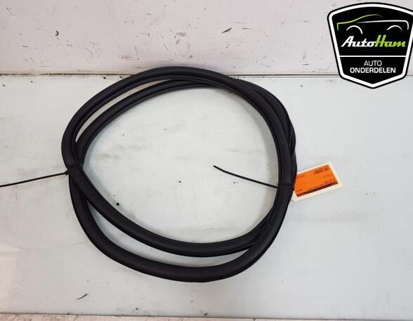 Door Seal VW POLO (AW1, BZ1)