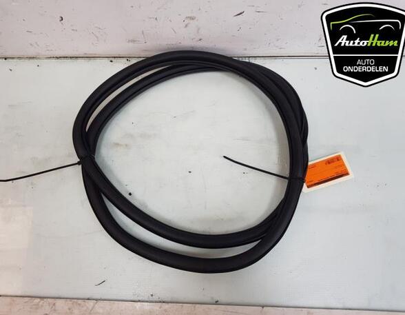 Door Seal VW POLO (AW1, BZ1)