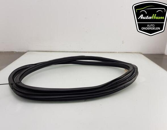 Door Seal VW GOLF VIII (CD1)