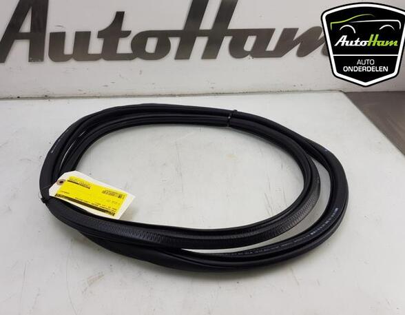 Door Seal AUDI A3 Sportback (8YA)