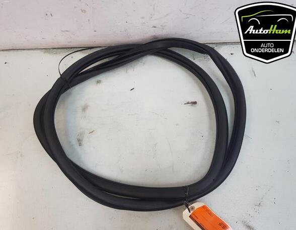 Door Seal VW POLO (AW1, BZ1)