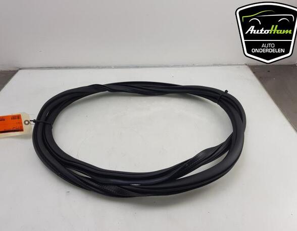 Door Seal AUDI A3 Sportback (8YA)