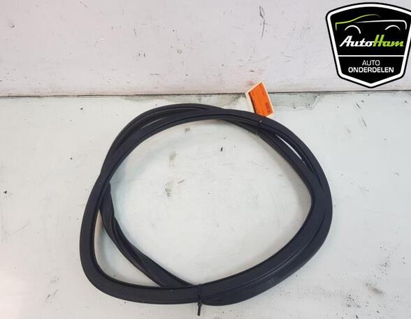 Door Seal VW POLO (AW1, BZ1)