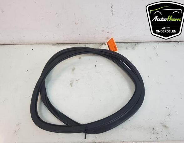 Door Seal VW POLO (AW1, BZ1)