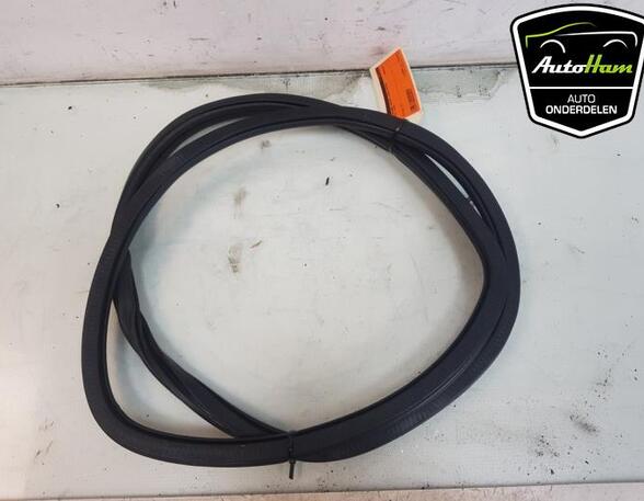 Door Seal VW POLO (AW1, BZ1)