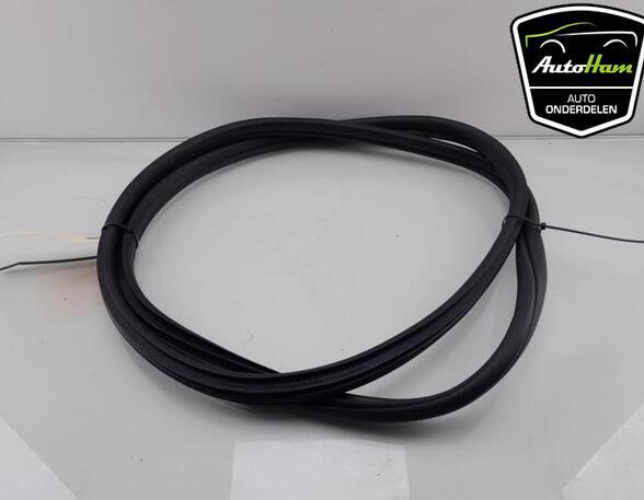 Door Seal BMW 1 (F40)