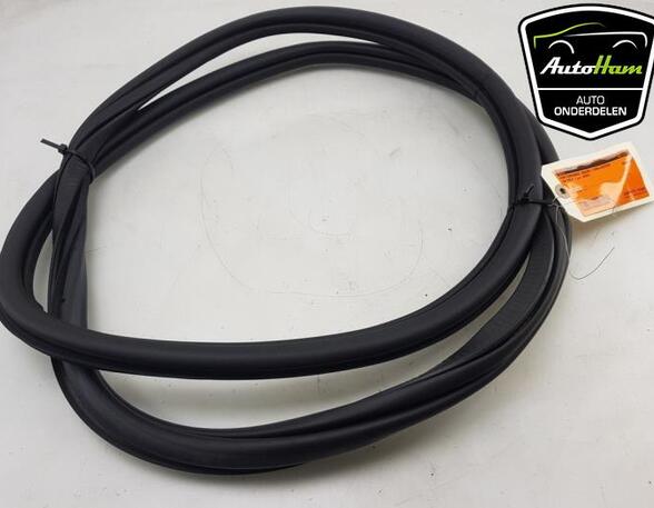 Door Seal VW POLO (AW1, BZ1)