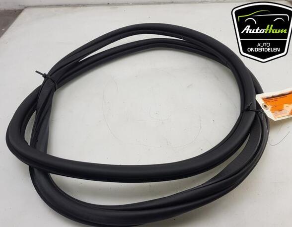 Door Seal VW POLO (AW1, BZ1)