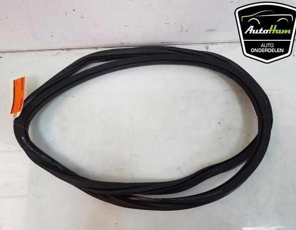 Door Seal VW GOLF VIII (CD1)