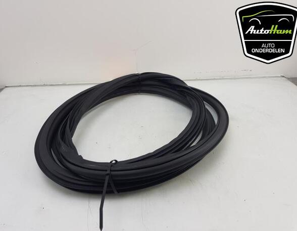 Door Seal AUDI Q5 (FYB, FYG)