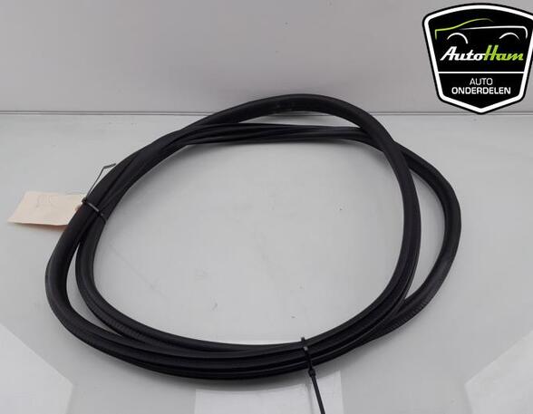 Door Seal BMW 1 (F40)