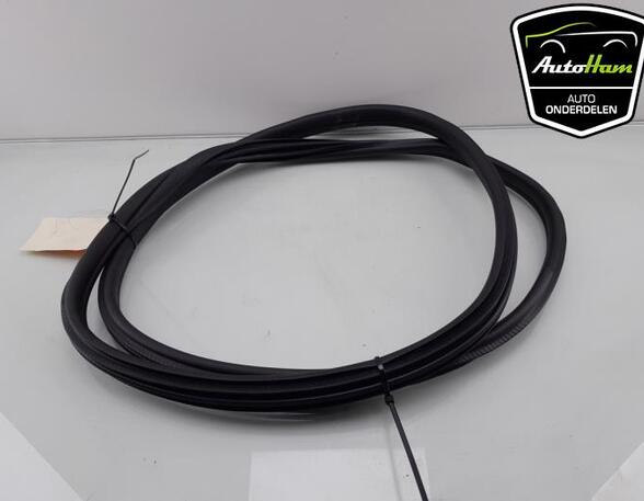 Door Seal BMW 1 (F40)