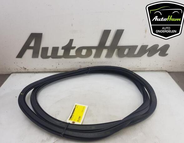 Door Seal AUDI A3 Sportback (8VA, 8VF), AUDI A6 Allroad (4GH, 4GJ, C7)