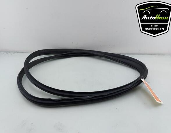 Door Seal MAZDA 2 (DL, DJ)