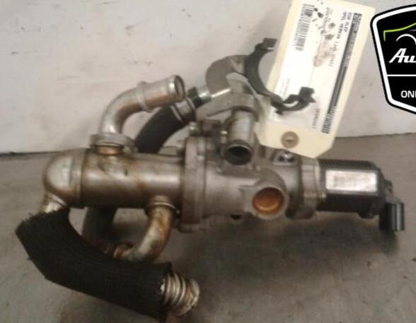 EGR Valve FIAT GRANDE PUNTO (199_), FIAT PUNTO EVO (199_), OPEL CORSA D (S07), OPEL MERIVA A MPV (X03)