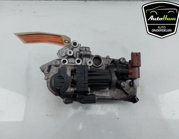 EGR Valve FIAT DOBLO Cargo (263_), FIAT GRANDE PUNTO (199_), FIAT PUNTO (199_), FIAT PUNTO EVO (199_)