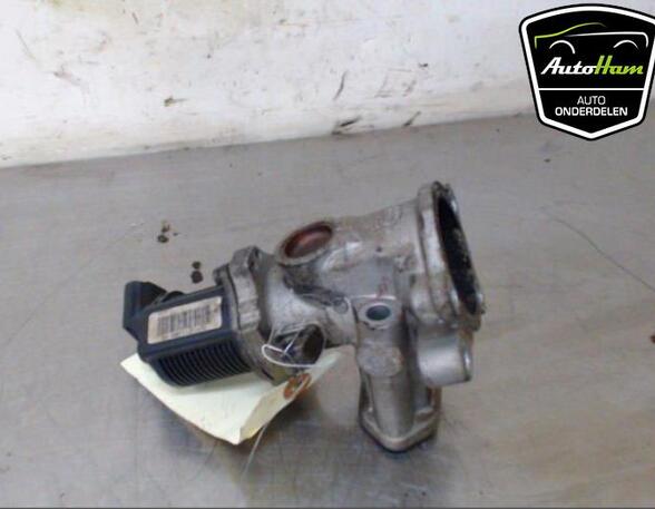 EGR Valve OPEL CORSA D (S07), FIAT GRANDE PUNTO (199_), FIAT PUNTO EVO (199_), OPEL MERIVA A MPV (X03)