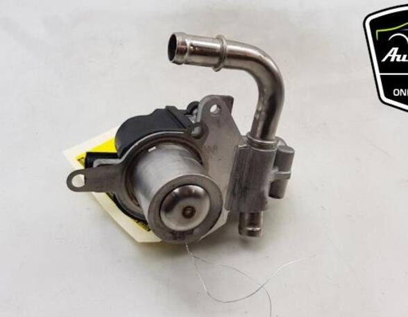 EGR Valve RENAULT CLIO III (BR0/1, CR0/1)