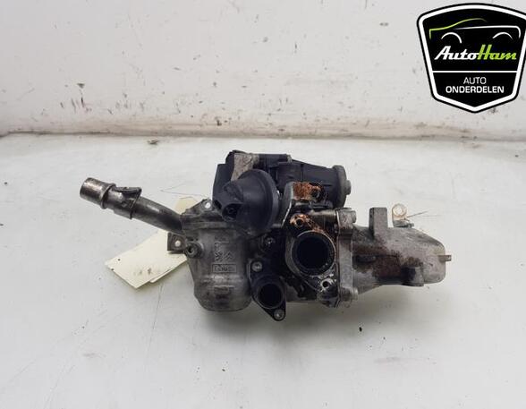 EGR Valve PEUGEOT EXPERT Van (VF3A_, VF3U_, VF3X_), CITROËN C4 II (B7), FORD FOCUS III Turnier, CITROËN DS3