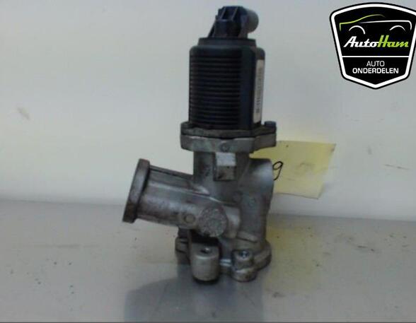 EGR Valve OPEL MERIVA A MPV (X03), OPEL CORSA D (S07), FIAT GRANDE PUNTO (199_), FIAT PUNTO EVO (199_)