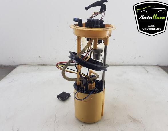 Fuel Pump AUDI Q5 (8RB), AUDI Q5 Van (8RB)