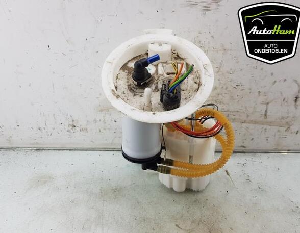 Fuel Pump BMW 1 (F21), BMW 1 (F20)