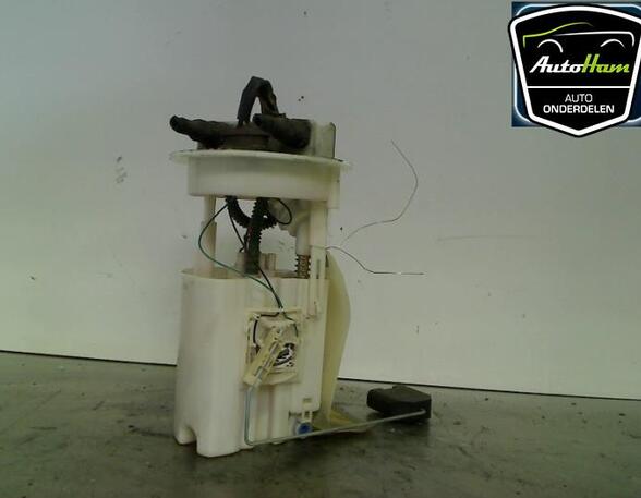 Fuel Pump PEUGEOT 607 (9D, 9U), PEUGEOT 406 Coupe (8C)