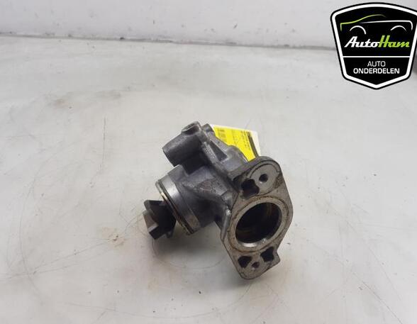 Fuel Pump BMW 1 (F21)