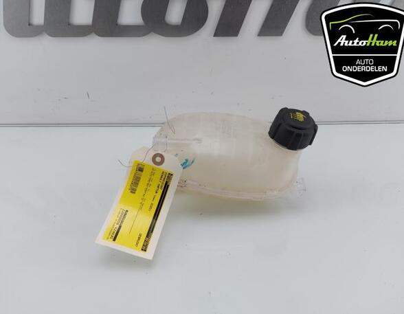 Coolant Expansion Tank RENAULT CAPTUR II (HF_), RENAULT CLIO V (B7_), DACIA SANDERO III