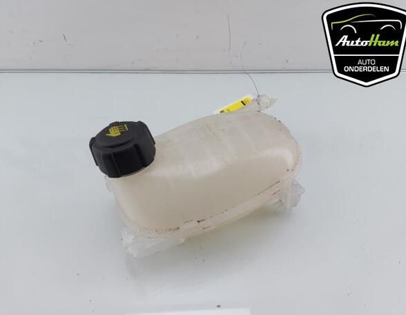 Coolant Expansion Tank RENAULT CAPTUR II (HF_), RENAULT CLIO V (B7_), DACIA SANDERO III