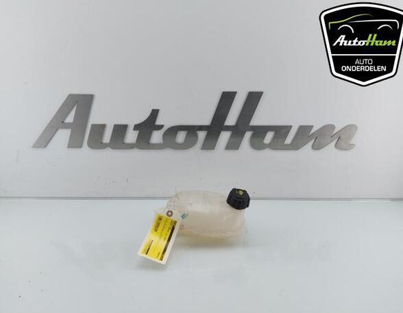 Coolant Expansion Tank RENAULT CAPTUR II (HF_), RENAULT CLIO V (B7_), DACIA SANDERO III