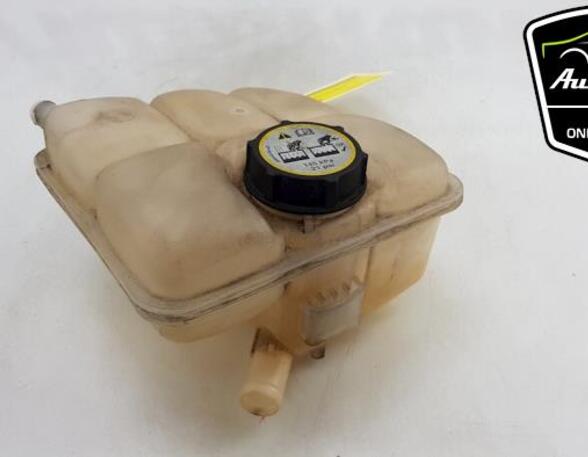 Coolant Expansion Tank FORD TRANSIT CONNECT V408 Box Body/MPV