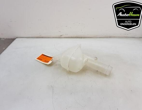 Coolant Expansion Tank RENAULT CLIO V (B7_)