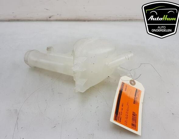 Coolant Expansion Tank RENAULT CLIO V (B7_)