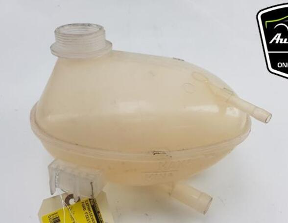 Coolant Expansion Tank FORD ECOSPORT, FORD FIESTA VII (HJ, HF), FORD PUMA (J2K, CF7)