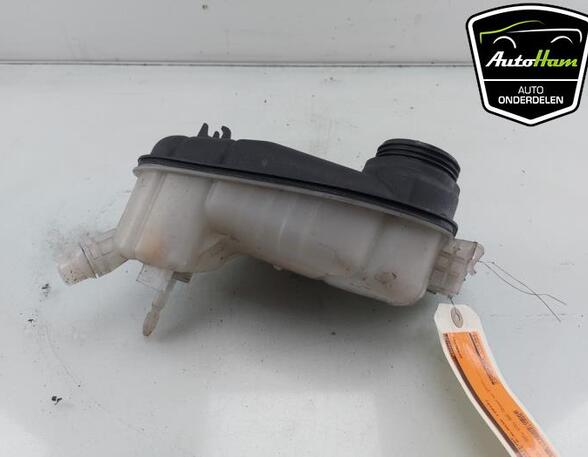 Coolant Expansion Tank MERCEDES-BENZ A-CLASS (W176)