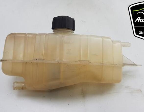 Coolant Expansion Tank RENAULT CLIO III (BR0/1, CR0/1), RENAULT CLIO III Grandtour (KR0/1_)