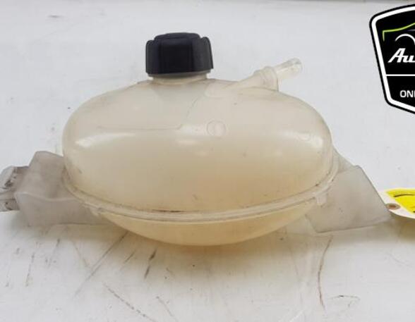 Coolant Expansion Tank RENAULT MASTER III Van (FV)