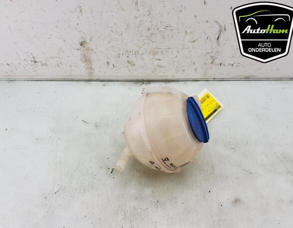 Coolant Expansion Tank SEAT IBIZA III (6L1), VW POLO (6R1, 6C1), VW POLO Van (6R), SKODA FABIA II (542)