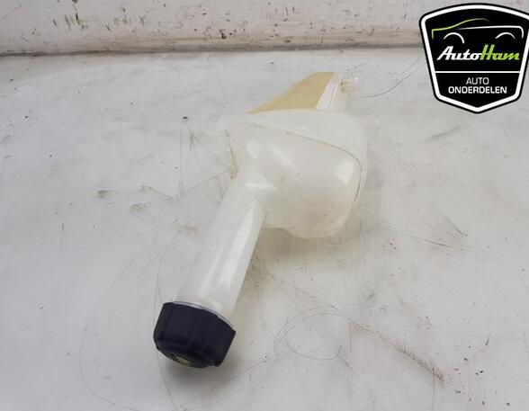 Coolant Expansion Tank RENAULT CLIO V (B7_)