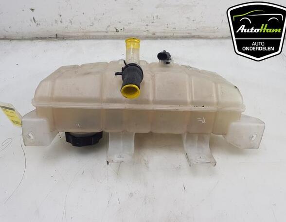 Coolant Expansion Tank TESLA MODEL X (5YJX), TESLA MODEL S (5YJS), TESLA MODEL Y (5YJY)