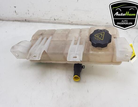 Coolant Expansion Tank TESLA MODEL X (5YJX), TESLA MODEL S (5YJS), TESLA MODEL Y (5YJY)