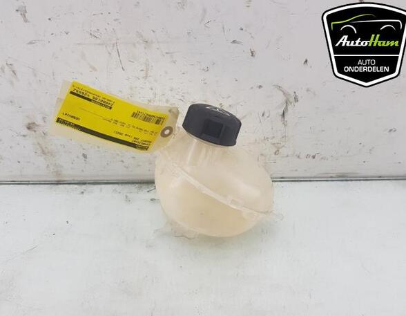 Coolant Expansion Tank OPEL CORSA F (P2JO), PEUGEOT 2008 II (UD_, US_, UY_, UK_), PEUGEOT 208 II (UB_, UP_, UW_, UJ_)