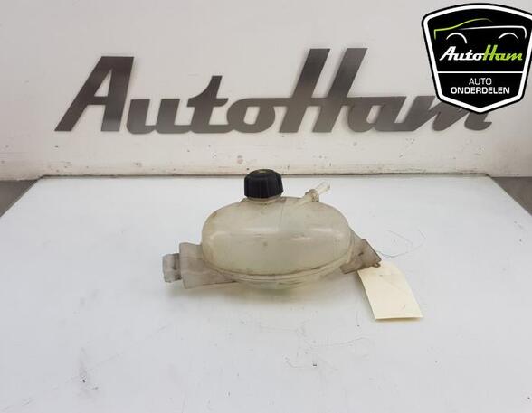 Coolant Expansion Tank RENAULT MASTER III Van (FV)