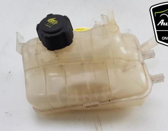 Coolant Expansion Tank RENAULT GRAND SCÉNIC III (JZ0/1_)