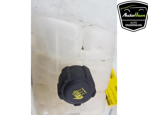 Coolant Expansion Tank RENAULT TALISMAN (LP_), RENAULT MEGANE IV Grandtour (K9A/M/N_)