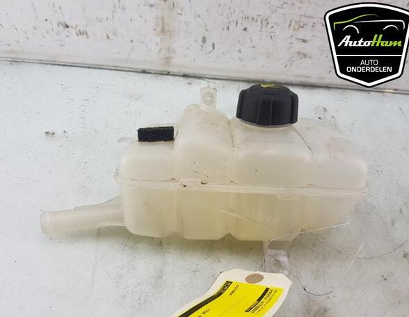 Coolant Expansion Tank RENAULT TALISMAN (LP_), RENAULT MEGANE IV Grandtour (K9A/M/N_)