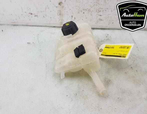 Coolant Expansion Tank RENAULT TALISMAN (LP_), RENAULT MEGANE IV Grandtour (K9A/M/N_)