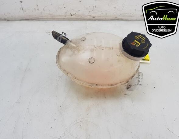 Coolant Expansion Tank FORD ECOSPORT, FORD FIESTA VII (HJ, HF), FORD PUMA (J2K, CF7)